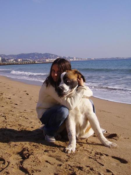 apache et moi